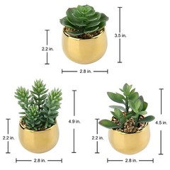 Briful Small Artificial Succulents in Pots Set of 3 Realistic Faux Style #09