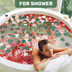 300PCS+ Real Eucalyptus Leaves for Shower – Sukh Dried Green