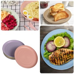 CAMBUY Wheat Straw Plates Lightweight Unbreakable Small, Small Multicolour