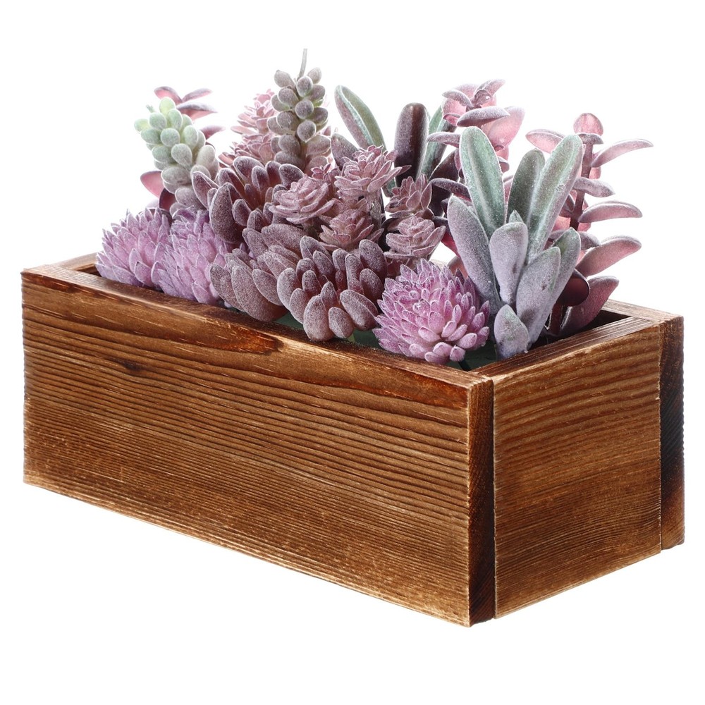 Solsew Assorted Artificial Succulent 7.87 x 3.94 x 2.76 inches, Purple