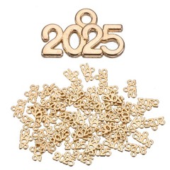 MECCANIXITY 2025 Graduation Year Charm 3D Metal Tassel Year Number Charm Year Pe