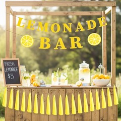 Lemonade Stand Party Decorations – 3PCS Lemonade Bar Banner Tassels Supplies …