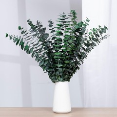 16 Pcs Dried Eucalyptus Stems, 17» Natural Leaves Z-black