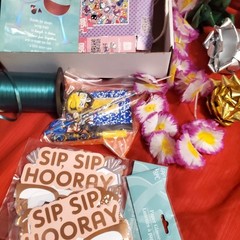 Party Supply Random Assorted Lot No2. New Package Variety Mix