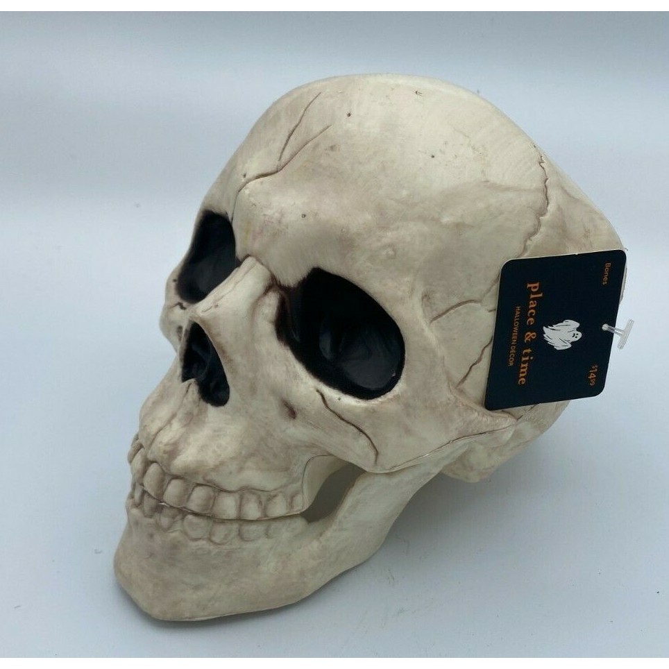 Place & Time Halloween Skull Decoration Prop Bones Horror Decor w/ Hinged Jaw