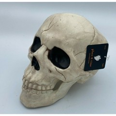 Place & Time Halloween Skull Decoration Prop Bones Horror Decor w/ Hinged Jaw