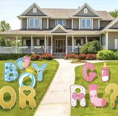 11Pcs Gender Reveal Decorations Baby Shower Yard Signs with Stakes,Baby G