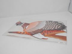 Beistle Flying Pheasant Hanging Decoration Honeycomb Tissue 26″ Vintage 1979 NOS