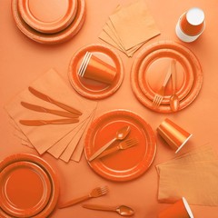 Disposable Paper Plates Orange, 7 Inch Paper Dessert Plates, Strong and Sturd…