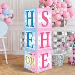3pcs Gender Reveal Decorations Baby Boxes, Blue Pink He or She Gender Reveal …