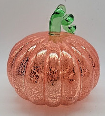 Halloween Autumn Fall Orange Pumpkin Light Up Battery Operated