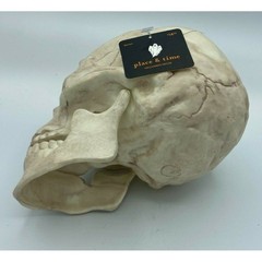 Place & Time Halloween Skull Decoration Prop Bones Horror Decor w/ Hinged Jaw