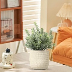 Hopewood Small Artificial Plants Eucalyptus with a Weave Green Plant Style B
