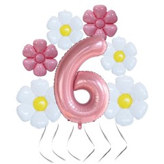 Daisy 6th Birthday Decorations – 40-inch Pink Number Balloon, Party Supplies …