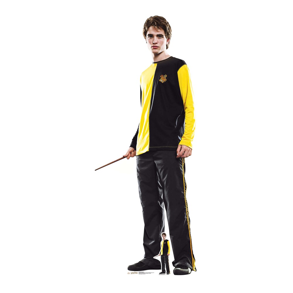 Cedric Diggory Lifesize Cardboard Cutout Official Harry Potter Free Mini Standee