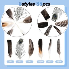 Large Natural Feathers Bulk-35PCS- 6 Styles Assorted Natural Feathers, Peacoc…
