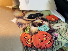Vintage 10 Halloween Cardboard Diecut Decorations Witch Pumpkin Raccoon Skull ++