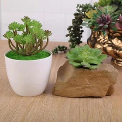 COTSEN 18 Pack Artificial Succulents Realistic Textured Fake 0, 18pcs