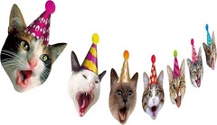 Birthday Cat Garland, Photographic Faces Banner, Multi Color