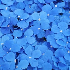 12PCS Artificial Hydrangea Wall Panels, Dark Blue, Handmade Silk Flowers 24x16in