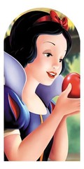 Snow White and the Seven Dwarfs Arch Backdrop Cover Birthday Party Decorations