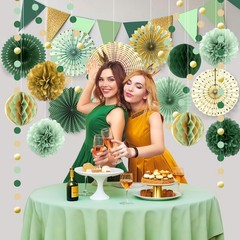 Sage Green Gold Party Decorations, Fans Honeycomb Balls Circle Garlands for G…