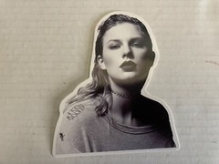 Taylor swift Birthday Banner 24 Cupcake Toppers 16 Balloons 6 Swirls& Backdrop