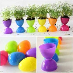 60ct Plastic Easter Eggs Crafting School Classroom Projects Mixed Colors Spritz™