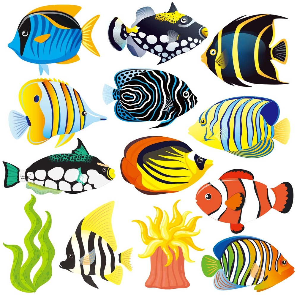 Tropical Fish Cutouts Colorful School Classroom Bulletin Board Decor 46 PCS