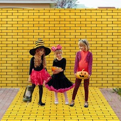 1 Pcs 4.5 x 9 Feet Yellow Brick Road Floor Runner for Wizard Oz Party Decoration