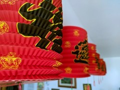 10 x Red Paper Lantern Chinese New Year Hanging Decorations Fu Good Luck