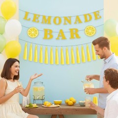 Lemonade Stand Party Decorations – 3PCS Lemonade Bar Banner Tassels Supplies …