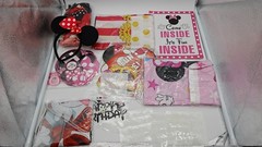 Pink Mouse Birthday Party Decorations Balloons Garland Signs Tablecloth Backdrop