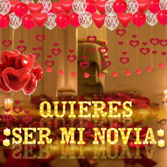 Quieres Ser Mi Novia Light Up Letters Proposal Decorations, 17Pcs 6.3″ Letter Si