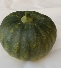 3D Pumpkin Decoration Gourds Window Display Natural Halloween Thanksgiving Event