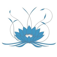 EACILLES Static Window Cling Decals, Alert People or Birds from Colorful