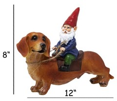 Funny Guy Mugs Gnome and a Dachshund Garden Statue- Indoor/Outdoor Garden Dog…