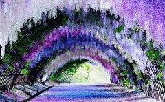 40 Pack Artificial Wisteria Vine Garland, 3.75 Feet Silk Strings, Fake Hanging