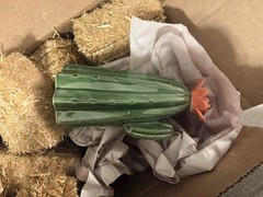 Western Party Decorations Set Multicolor Wood/Paper/Straw Hay Bales Cactus