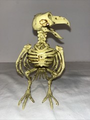 CROW SKELETON BIRD Poseable Halloween Prop Decoration 7.25″ Distressed FLAW