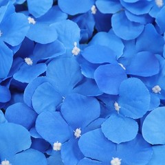 12PCS Artificial Hydrangea Wall Panels, Dark Blue, Handmade Silk Flowers 24x16in
