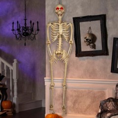 5 ft 5 in LED Eyes Poseable Human Size Skeleton Skull Halloween Decoration Prop