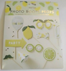 Ginger Ray Photo Booth Props, 10 Squeeze the Day Party, Lemonade Lime, NEW