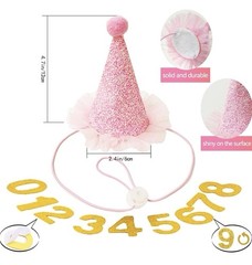 Dog birthday party decorations Dog birthday hat dog birthday banner, bandana