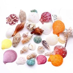 Natural Sea Shells Conch Fish Tank Aquarium Landscape Ornament Home Decor DIY