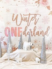 Winter Onederland Backdrop for Girl 1st Birthday Party Decoration (7x5ft).