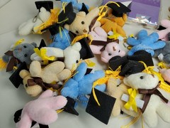 Mini Teddy Keychain Plush Multicolored Graduaction Gift Bears With Boxes New 22