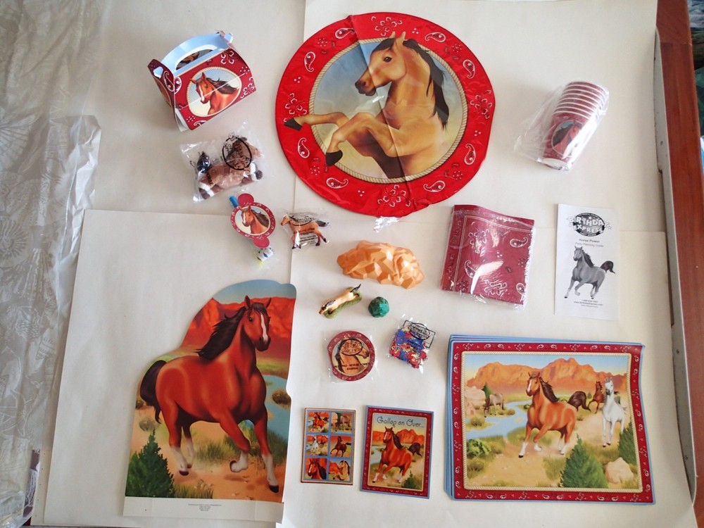 PARTY SUPPLIES: 2004 Birthday Express HORSE POWER Design Set, Kids Play Fun