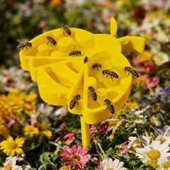 1pc S Cute Bee Shaped Bird Bath Outdoor Decor With Drinking Tray For Hummingbird