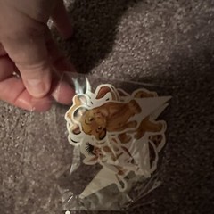 Lion King Party Decoration Kit! With Paper Plates, Utensils, Birthday, Balloons